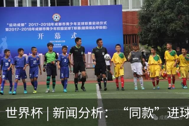 世界杯 | 新闻分析：“同款”进球，为何判罚结果截然不同