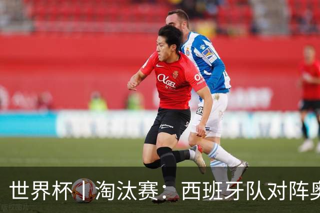 世界杯丨淘汰赛：西班牙队对阵奥地利队