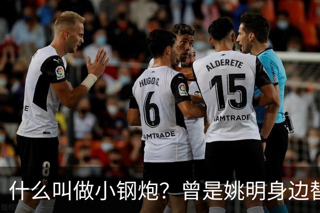 什么叫做小钢炮？曾是姚明身边替补！20年NBA赚2.82亿