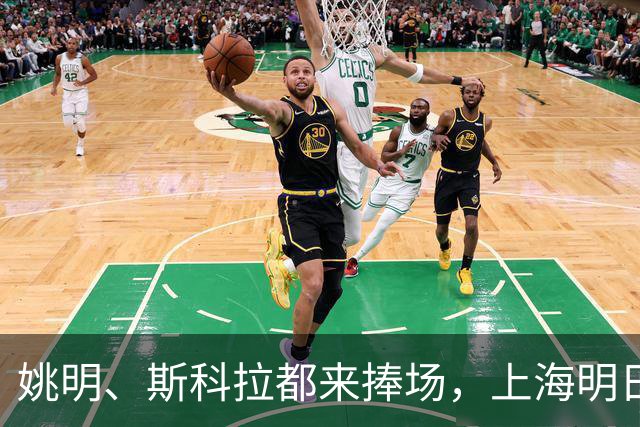 姚明、斯科拉都来捧场，上海明日之星篮球争冠赛有何魔力？
