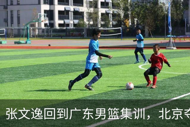 张文逸回到广东男篮集训，北京夺冠功勋确定退役，上海欲续约弗格