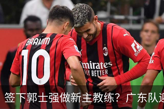 签下郭士强做新主教练？广东队迎来换帅机会，杜锋有望执教国家队