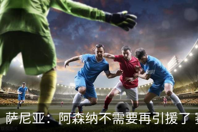 萨尼亚：阿森纳不需要再引援了 赛季最佳球员我选廷伯