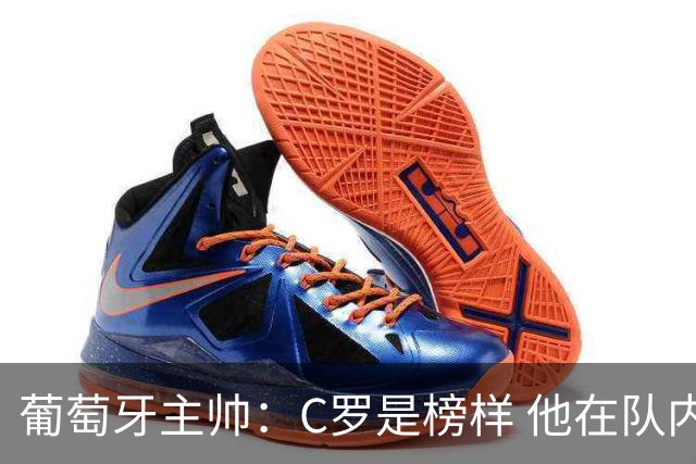 葡萄牙主帅：C罗是榜样 他在队内的重要性像是他首次参加世界杯